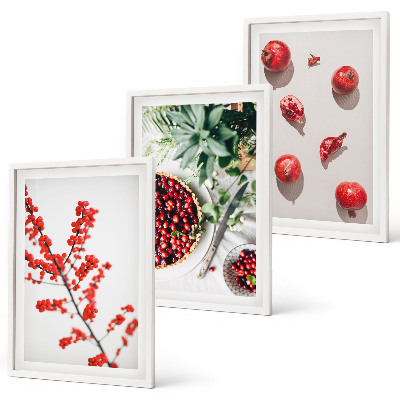 Juego de 3 cuadros Frutos rojos de plantas minimalismo