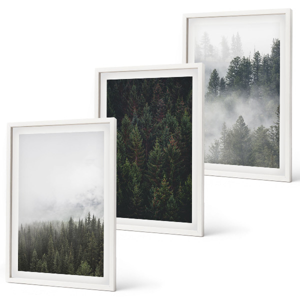 Set de 3 cuadros para salón Bosques verdes, niebla, naturaleza