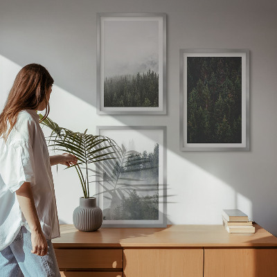 Set de 3 cuadros para salón Bosques verdes, niebla, naturaleza