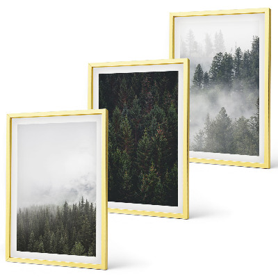 Set de 3 cuadros para salón Bosques verdes, niebla, naturaleza