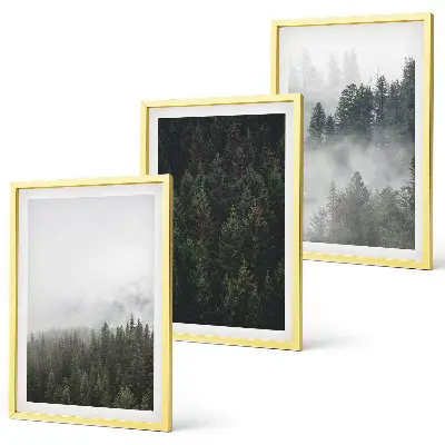 Set de 3 cuadros para salón con diseño de bosques verdes entre la niebla
