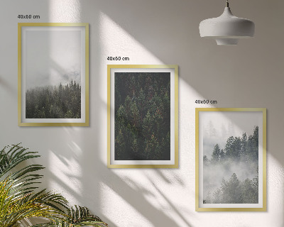 Set de 3 cuadros para salón Bosques verdes, niebla, naturaleza
