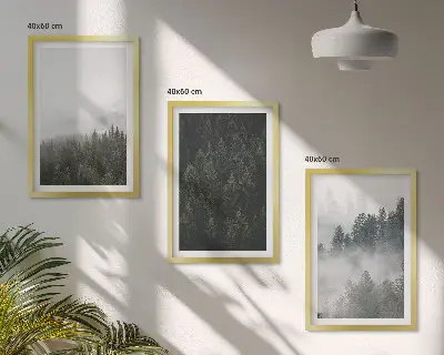 Set de 3 cuadros para salón con diseño de bosques verdes entre la niebla