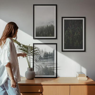 Set de 3 cuadros para salón Bosques verdes, niebla, naturaleza
