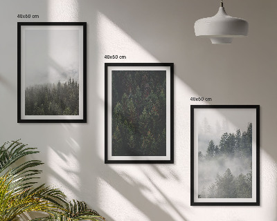 Set de 3 cuadros para salón Bosques verdes, niebla, naturaleza