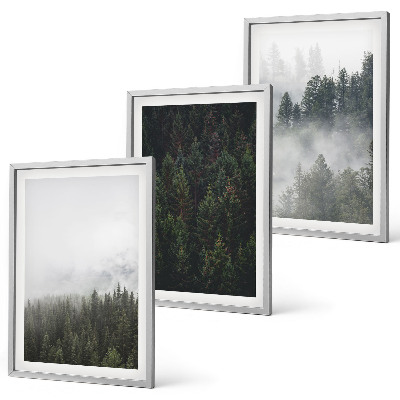Set de 3 cuadros para salón Bosques verdes, niebla, naturaleza
