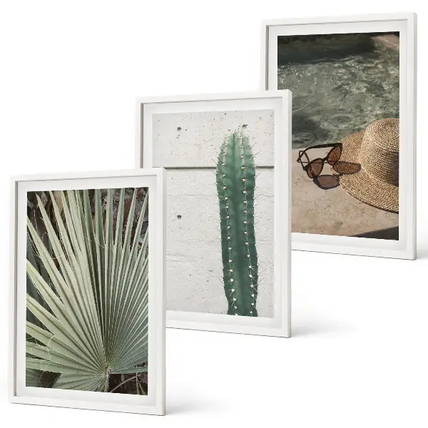 Juego de 3 cuadros de accesorios para plantas tropicales 