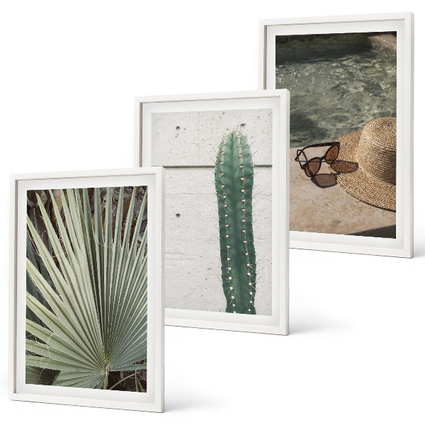 Juego de 3 cuadros Accesorios para plantas tropicales