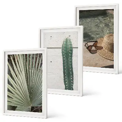 Juego de 3 cuadros de accesorios para plantas tropicales 