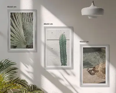 Juego de 3 cuadros de accesorios para plantas tropicales 