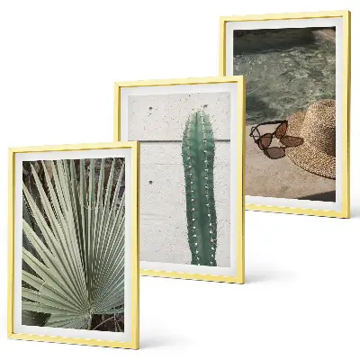 Juego de 3 cuadros de accesorios para plantas tropicales 