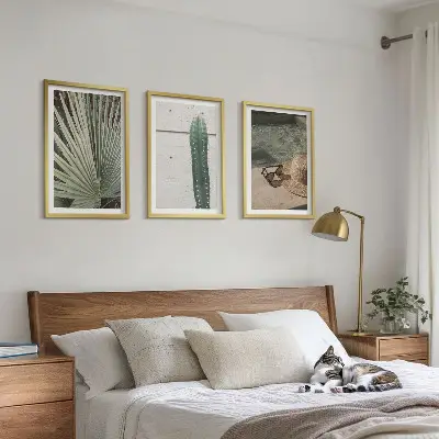 Juego de 3 cuadros de accesorios para plantas tropicales 