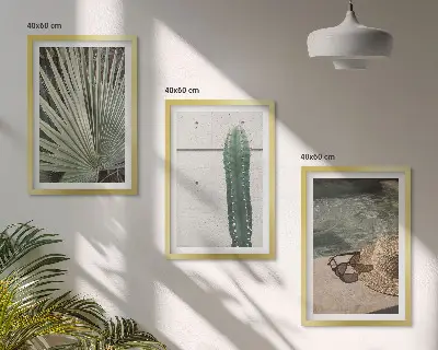 Juego de 3 cuadros de accesorios para plantas tropicales 