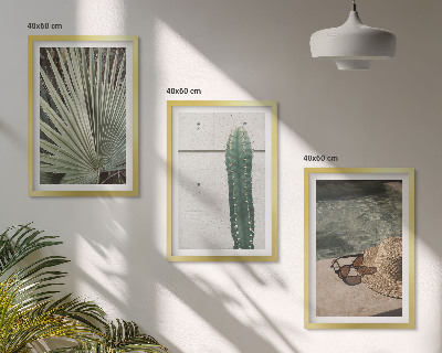 Juego de 3 cuadros Accesorios para plantas tropicales