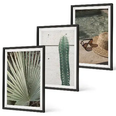 Juego de 3 cuadros de accesorios para plantas tropicales 