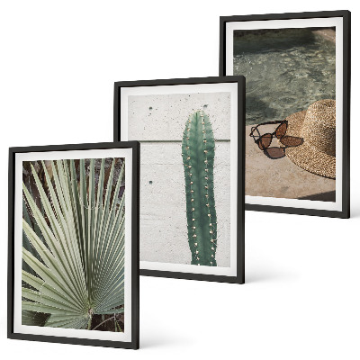 Juego de 3 cuadros Accesorios para plantas tropicales