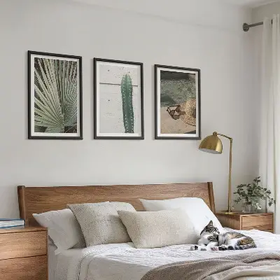 Juego de 3 cuadros de accesorios para plantas tropicales 