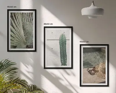 Juego de 3 cuadros de accesorios para plantas tropicales 