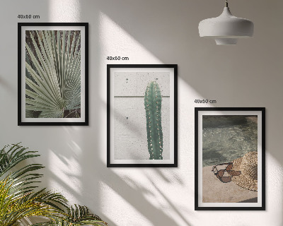 Juego de 3 cuadros Accesorios para plantas tropicales