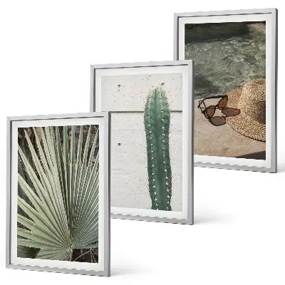 Juego de 3 cuadros de accesorios para plantas tropicales 