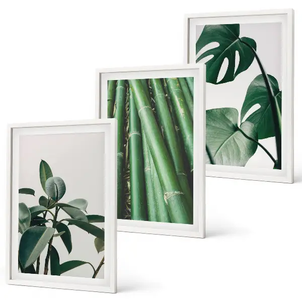 Juego de 3 cuadros con diseño de tallos de bambú y hojas de monstera