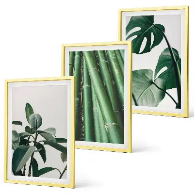 Juego de 3 cuadros con diseño de tallos de bambú y hojas de monstera