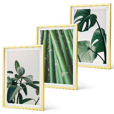 Juego de 3 cuadros Tallos de bambú y hojas de monstera