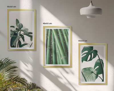 Juego de 3 cuadros Tallos de bambú y hojas de monstera