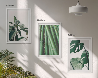 Juego de 3 cuadros Tallos de bambú y hojas de monstera