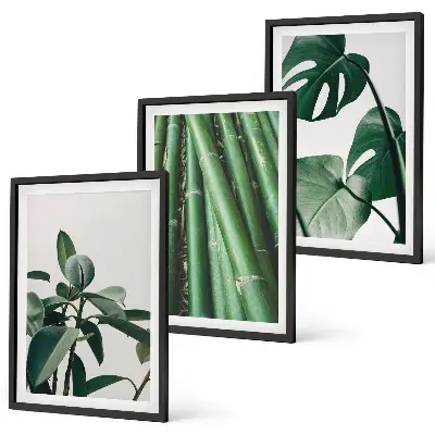 Juego de 3 cuadros con diseño de tallos de bambú y hojas de monstera