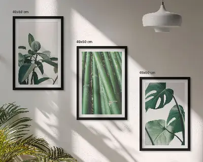 Juego de 3 cuadros con diseño de tallos de bambú y hojas de monstera