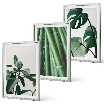 Juego de 3 cuadros con diseño de tallos de bambú y hojas de monstera