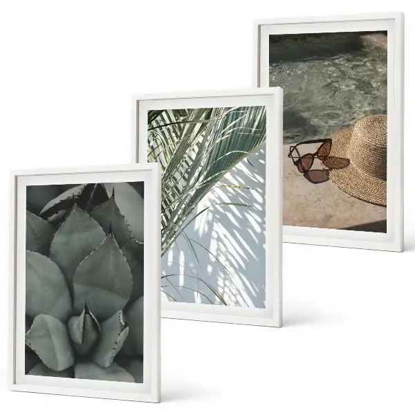 Set de 3 cuadros de plantas tropicales decoración para salón inspirada en vacaciones