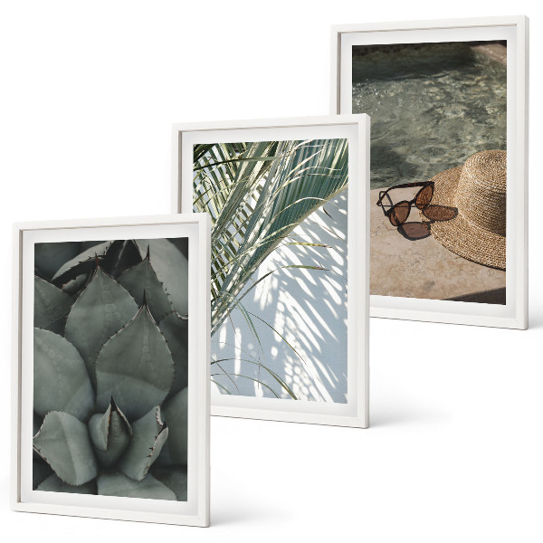 Set de 3 cuadros para salón Plantas tropicales para las vacaciones