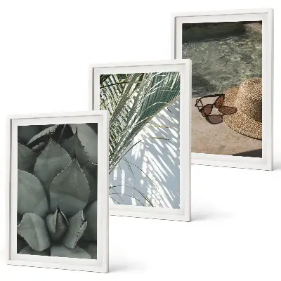 Set de 3 cuadros de plantas tropicales decoración para salón inspirada en vacaciones