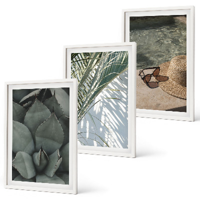 Set de 3 cuadros para salón Plantas tropicales para las vacaciones