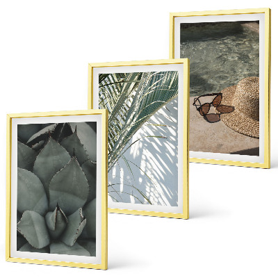 Set de 3 cuadros para salón Plantas tropicales para las vacaciones