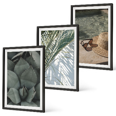 Set de 3 cuadros para salón Plantas tropicales para las vacaciones