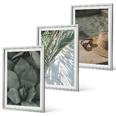Set de 3 cuadros de plantas tropicales decoración para salón inspirada en vacaciones