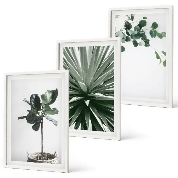 Juego de 3 cuadros con diseño minimalista de plantas verdes