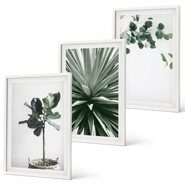 Juego de 3 cuadros Minimalismo con plantas verdes