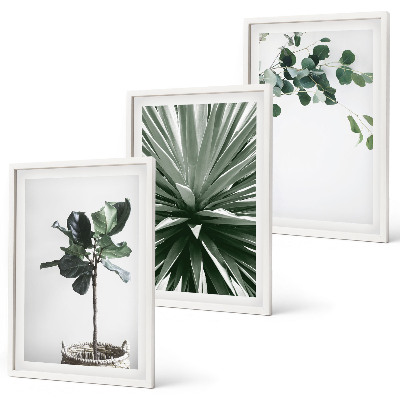 Juego de 3 cuadros Minimalismo con plantas verdes