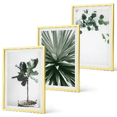 Juego de 3 cuadros con diseño minimalista de plantas verdes