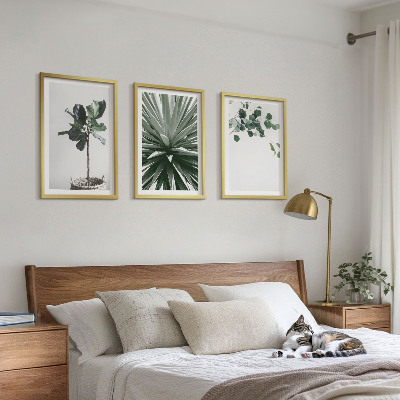Juego de 3 cuadros Minimalismo con plantas verdes