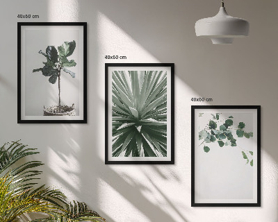 Juego de 3 cuadros Minimalismo con plantas verdes