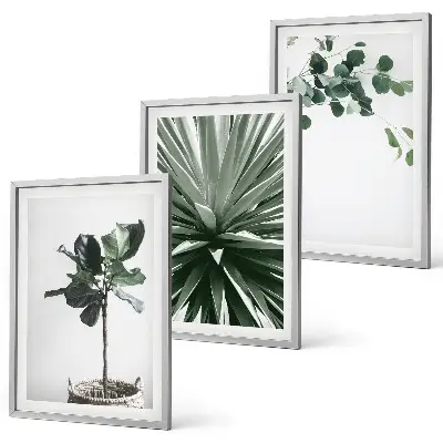 Juego de 3 cuadros con diseño minimalista de plantas verdes