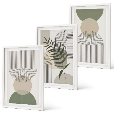 Set de 3 cuadros para salón Formas abstractas con vegetación