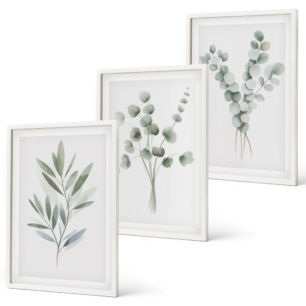 Juego de 3 cuadros Diseños de plantas con vegetación