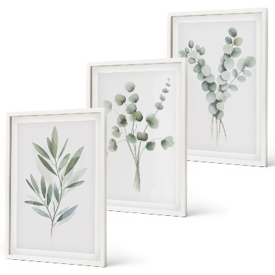 Juego de 3 cuadros Diseños de plantas con vegetación