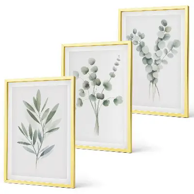 Juego de 3 cuadros con diseños de plantas y vegetación
